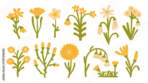 Set meadow  garden summer modern plants flowers