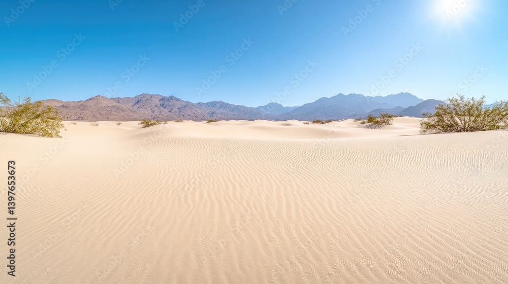 Desert Sand Dunes Sparse Vegetation Bright Sunny Landscape Wide Angle Shot Textured Surface Serenity Vista Warm Beige Tones Ideal for Travel Brochures Desert Sand Dunes Sparse Vegetation Bright Sunny Landscape Wide Angle Shot Textured Surface Serenity Vista Warm Beige Tones Ideal for Travel Brochures