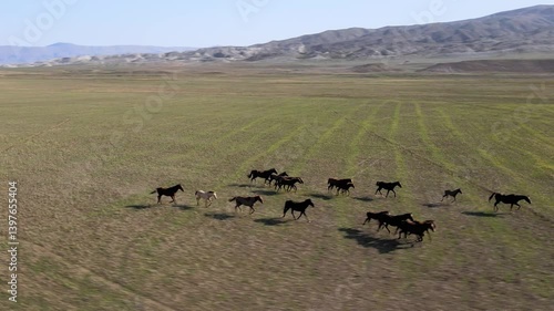 A group of horses runs freely through expansive fields in a picturesque rural setting. The volume landscape features mountains and open green spaces under a clear sky.