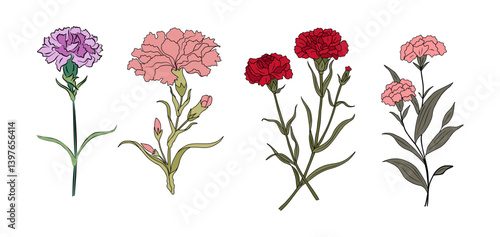 Set of Carnation January birth month flower colorful vector illustrations. Outline hand drawn design for logo, tattoo, packaging, card, wall art, poster. Colored line art isolated on white background.