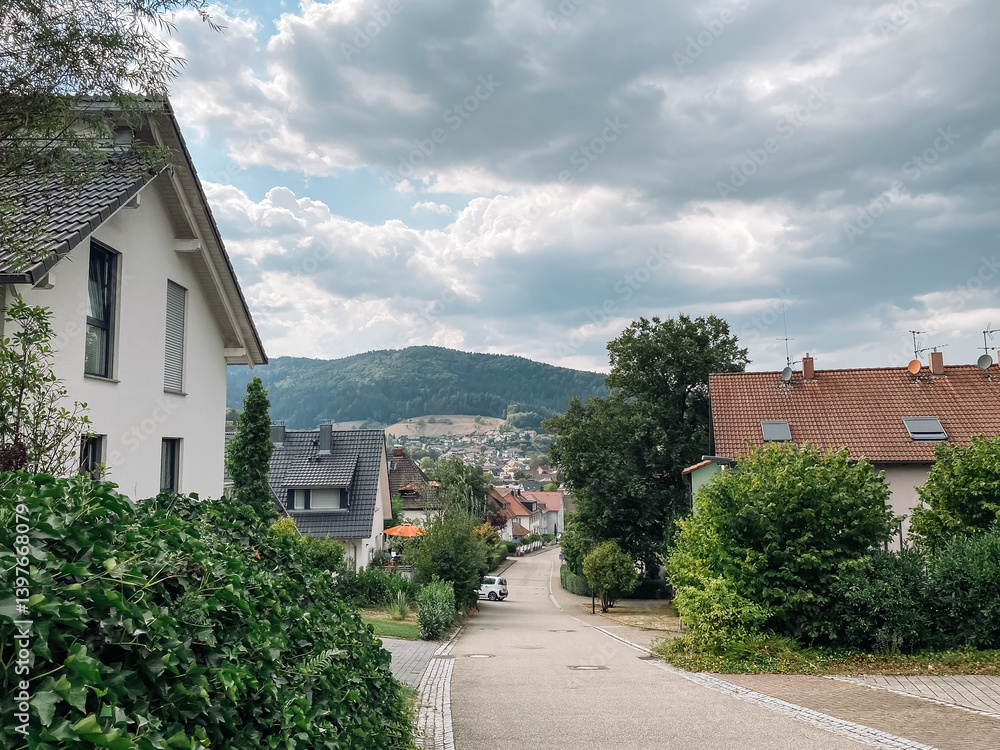 Obraz premium Street with houses and trees in the background