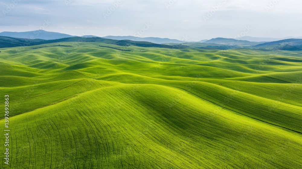Lush green hills create serene landscape, showcasing rolling waves of grass under clear sky Lush green hills create serene landscape, showcasing rolling waves of grass under clear sky