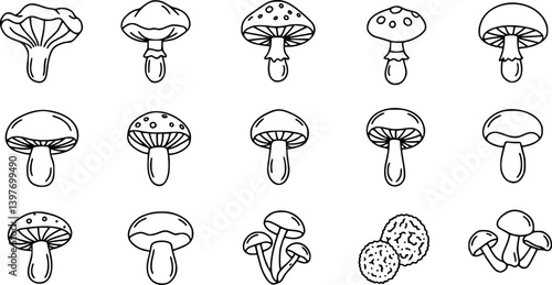 Forest mushroom line icon set. Chanterelle, champignon, shiitake, porcini, cep, truffle shiitake minimal vector illustration. Simple outline sign for edible fungus 30x30 Pixel Perfect Editable Stroke
