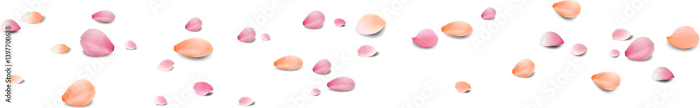Realistic red rose petals with transparent background. Valentine love, spring and wedding floral cherry blossom background Realistic red rose petals with transparent background. Valentine love, spring and wedding floral cherry blossom background