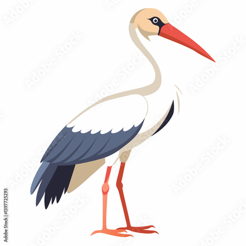 Stork isolated on white background