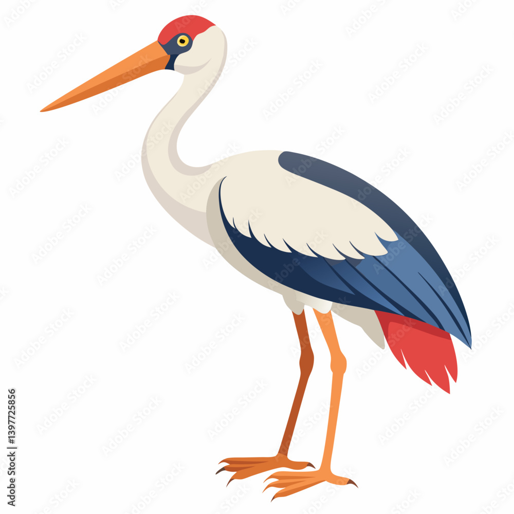Stork isolated on white background Stork isolated on white background