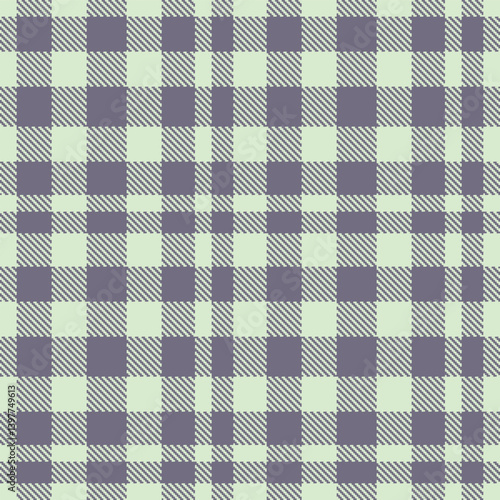 Dusky eggshell and Deep purplish grey Seamless Tartan Textile Design