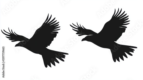 crow, background, isolated, nature, halloween, white, animal, black, animals, moon, silhouette, bird, game, feather, night, fantasy, natural, beak, wildlife, fauna, air, gothic, birdwatching, flight, 