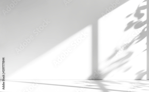 shadow overlay effects of realistic window and tree branch shadow with light blur on transparent background,Summer sunlight and shadow overlay effect