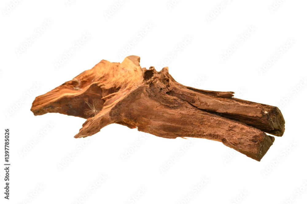 Fototapeta premium firewood isolated on white background