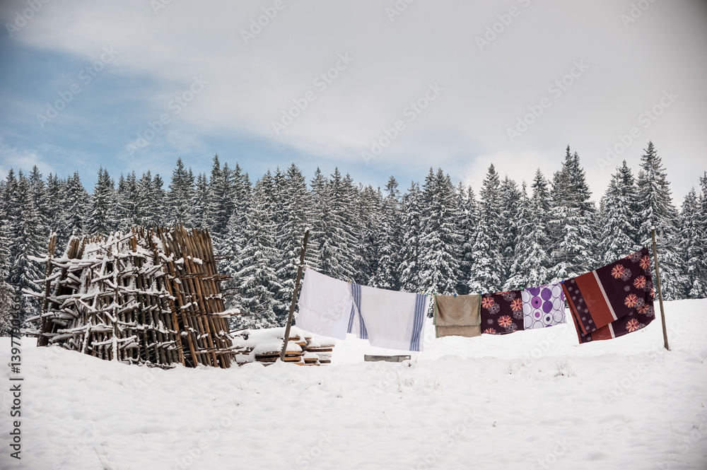 Laundry Drying on Clothesline with a Snowy Forest Background - Zakopane Poland.