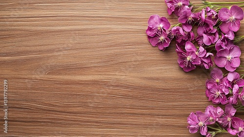 Flower wooden board weather. A cluster of vibrant pink flowers rests against a textured wooden background, creating a serene and natural aesthetic.
