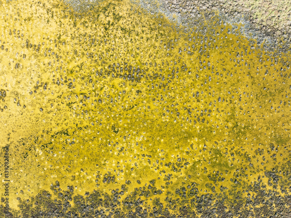 Aerial view of scenic salt marsh with vibrant yellow and green vegetation, Sanlucar de Barrameda, Cadiz, Spain. Aerial view of scenic salt marsh with vibrant yellow and green vegetation, Sanlucar de Barrameda, Cadiz, Spain.