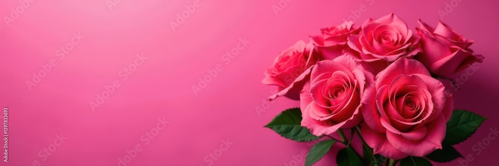 Vibrant hot pink backdrop, lush bouquet of roses , fresh, love, elegant Vibrant hot pink backdrop, lush bouquet of roses , fresh, love, elegant