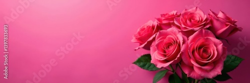Vibrant hot pink backdrop, lush bouquet of roses , fresh, love, elegant