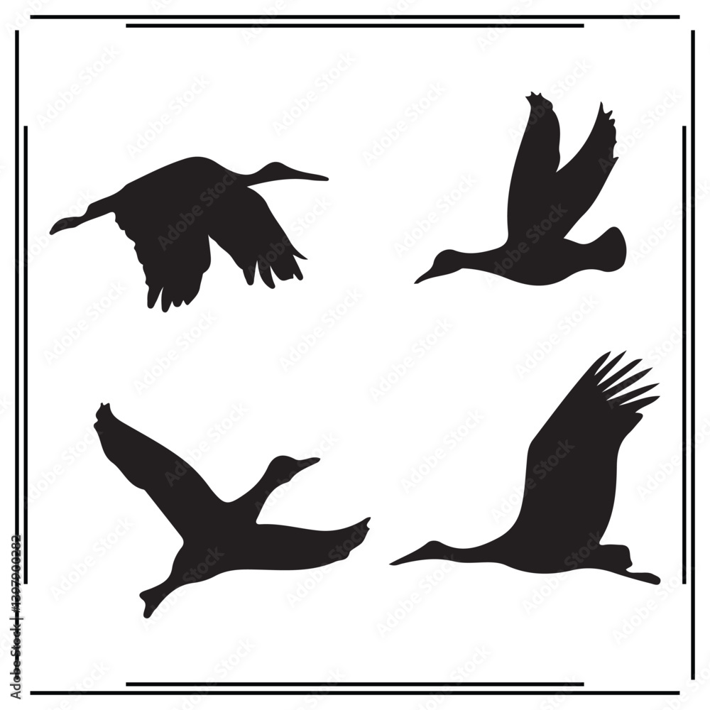 Obraz premium Swan silhouette, Swan illustration , Swan clipart, Swan vector , Swan icon , black Swan , Swan illustration on white background,