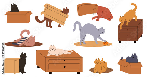 Flat Cartoon Cat With Stuff