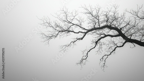 Wallpaper Mural Bare Branches in Foggy Solitude: A Monochromatic Study of Nature's Serenity Torontodigital.ca