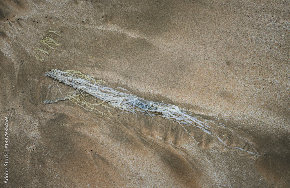 Plastic garbage environmental pollution on a sandy tropical beach