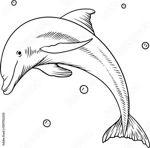 contour drawing of a dolphin with water droplets