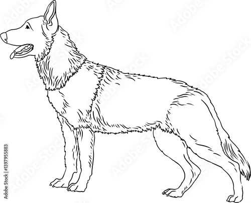 Hand-drawn illustration of the outline of a shepherd dog