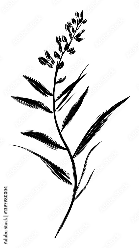 PNG Flower drawing sketch plant. PNG Flower drawing sketch plant.
