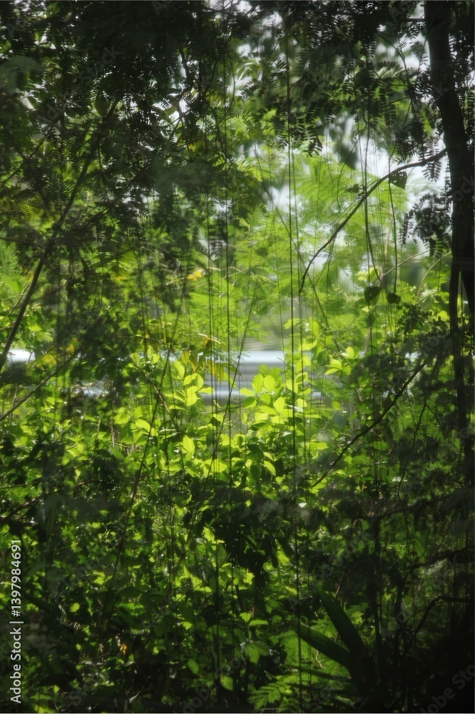 Fototapeta premium Lush green vines and trees