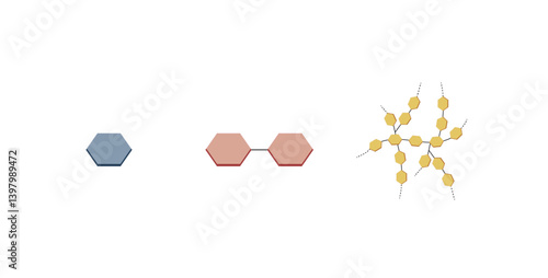 Differences Between Monosaccharide, Disaccharide and Polysaccharide. Glucose, Maltose and Starch. Carbohydrates and Sugars Terminology. Scientific Design. Vector Illustration.