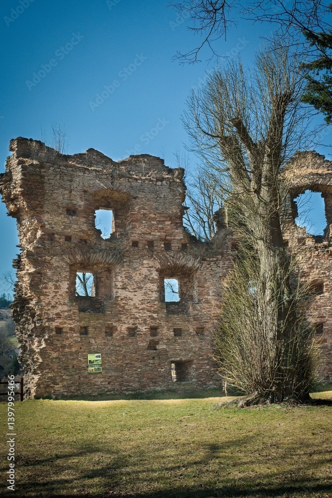 Fototapeta premium Ruins of the medieval castle of Czech republic