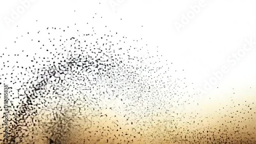 Wallpaper Mural Murmuration of Starlings: A mesmerizing murmuration of starlings swirling against a soft gradient background. Witness the dance of nature's aerial artistry. Torontodigital.ca