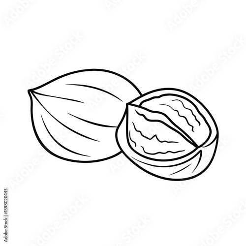 Walnut Outline Vector Illustration Whole And Half For Coloring Books Art