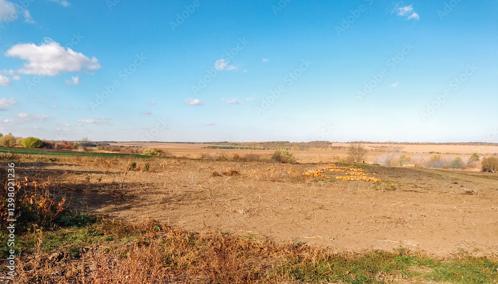 Naklejka premium Field with a few trees and a few cows