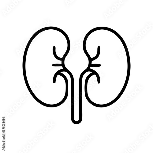 Kidney outline  Illustration – Flat Organ Icon,
