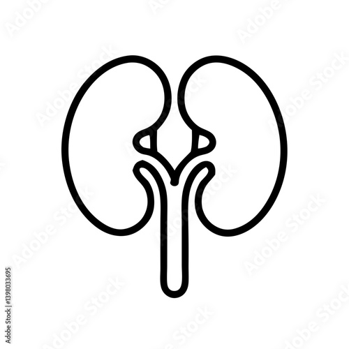 Kidney outline  Illustration – Flat Organ Icon,
