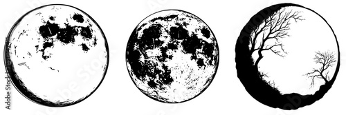 Vector hand draw of three moon phases with tree silhouette in the last circle, showcasing a nighttime theme in nature