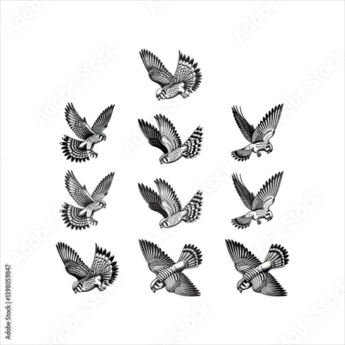 American Kestrel Swooping Down to Catch Prey – Vector Line Art