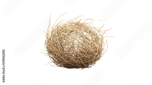 Isolated Single Tumbleweed on White Background - Unique and Calm Natural Element Concept