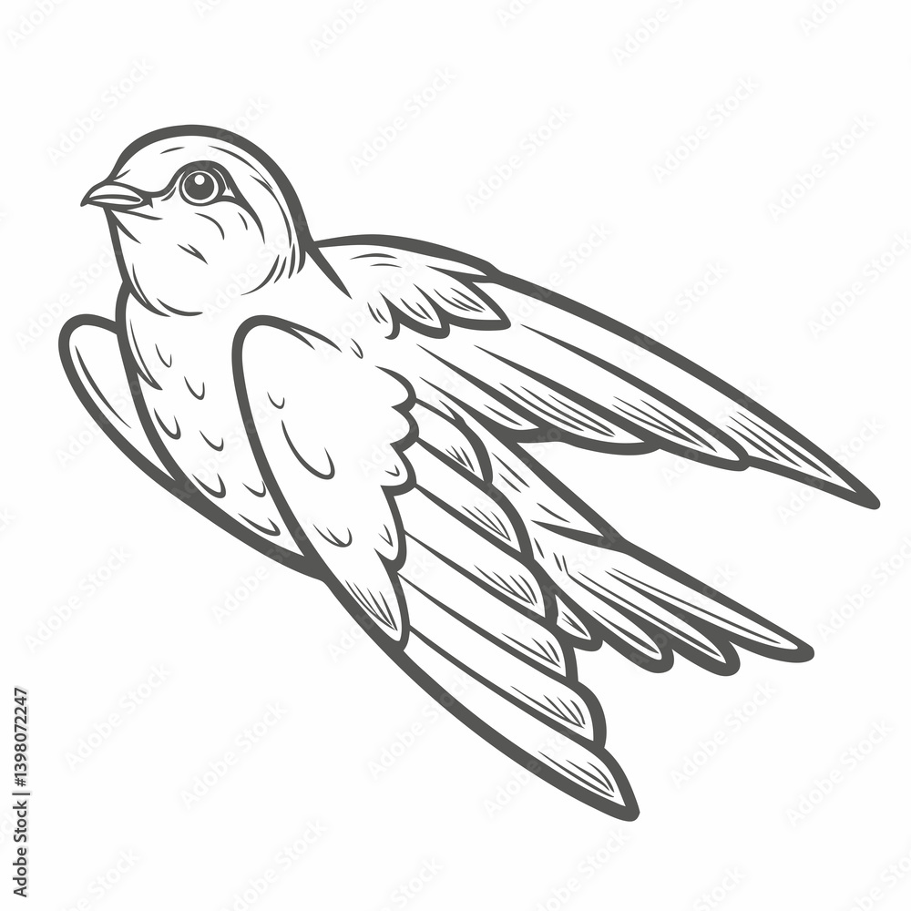 Obraz premium Chimney Swift Outline Illustration, Bird in Flight