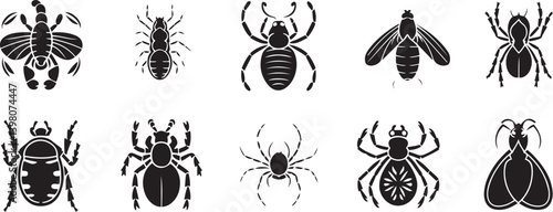 and white insect silhouettes, minimalist arthropod designs, entomology illustrations, vector graphics of bugs and arachnids, scientific insect diagrams, stylized spider and fly icons, symmetrica.
