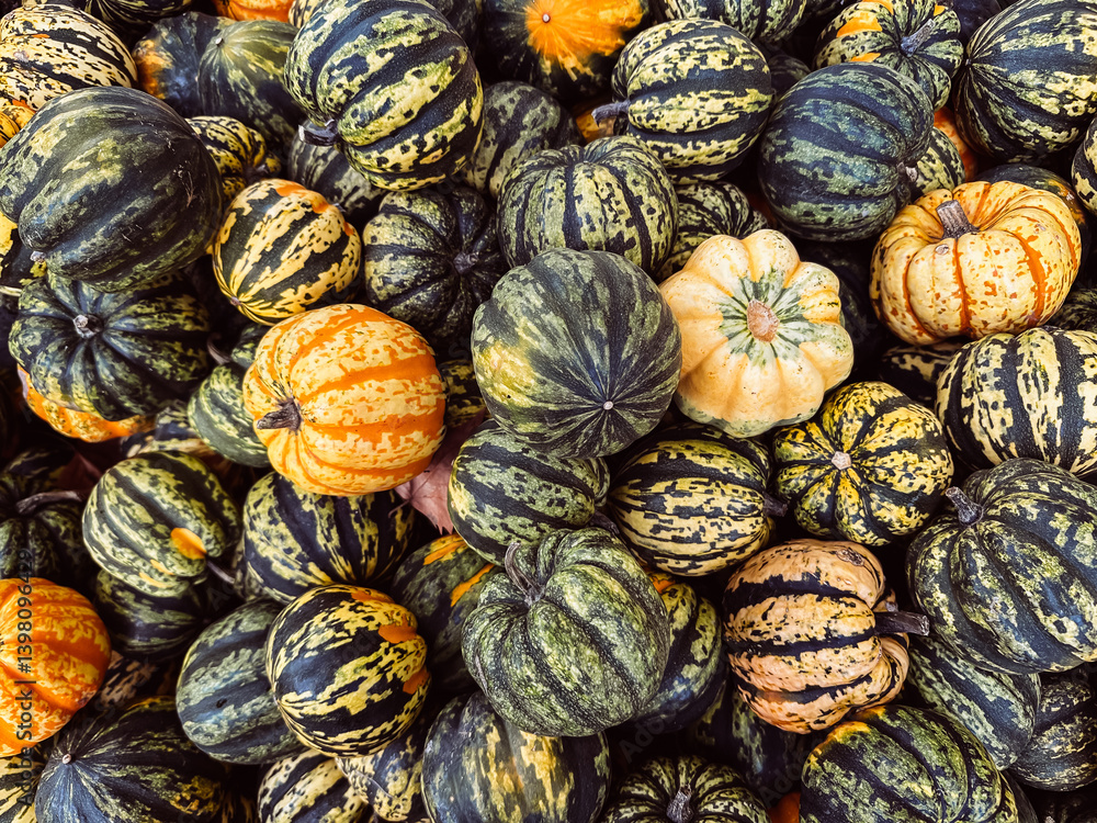 Pile of pumpkins with some of them being yellow and some of them being green Pile of pumpkins with some of them being yellow and some of them being green