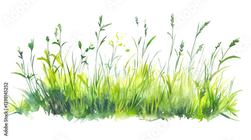 Green Grass Meadow Nature Scene Watercolor Illustration - Serene Landscape Artwork for Creative Projects