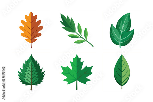  Six types vector illustrations of leaves Oak Leaf, Tarragon Leaf, Hastate Leaf,  Cordate Leaf, Maple Leaf, Fraxinus Excelsior Leaf
