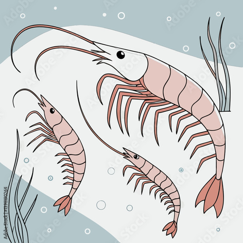 Cartoon Shrimp Illustration, Seafood Graphic