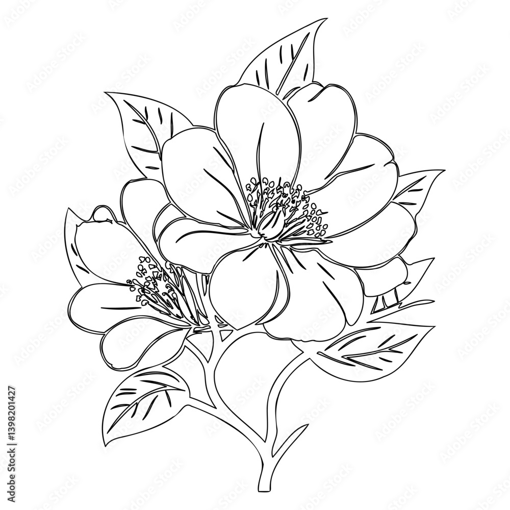 Fototapeta premium Delicate Floral Arrangement: A Study in Line, Form, and Botanical Detail