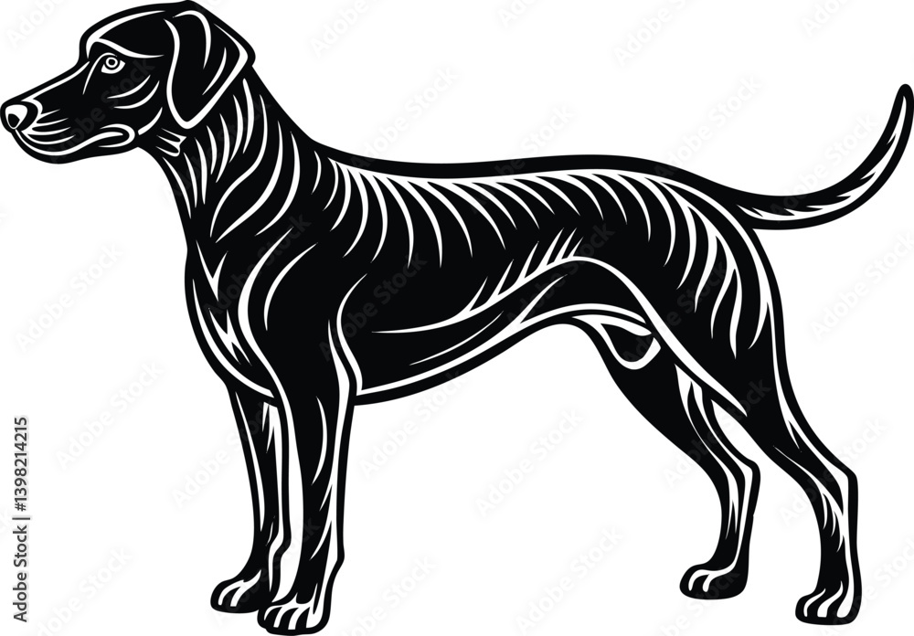 Fototapeta premium Elegant Black Dog Illustration