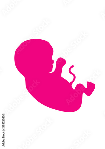 foetus bebe naissance dessin