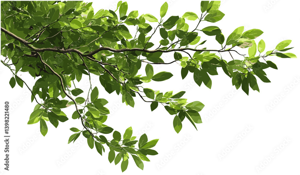 Green tree branch isolated with tropical leaves foreground, lush foliage corner composition, vibrant nature backdrop, fresh tropic plant leaves, green tropical plant close-up Green tree branch isolated with tropical leaves foreground, lush foliage corner composition, vibrant nature backdrop, fresh tropic plant leaves, green tropical plant close-up