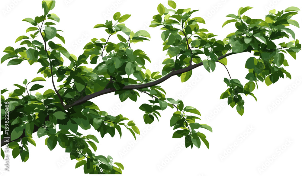 Vector tree branches, isolated rainforest leaves, greenery jungle, tropical foliage, lush forest, nature background, rainforest plants, eco-friendly nature, tropical trees, natural landscape Vector tree branches, isolated rainforest leaves, greenery jungle, tropical foliage, lush forest, nature background, rainforest plants, eco-friendly nature, tropical trees, natural landscape