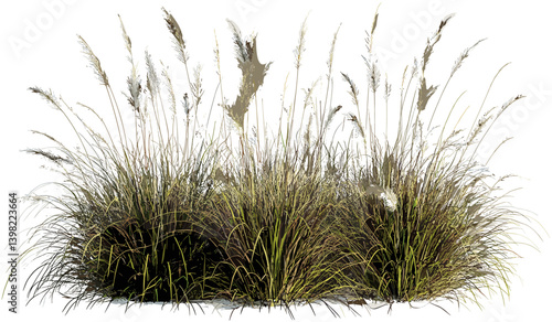 Landscaping vector, white feather, overgrown grass, green plants, garden nature, lush vegetation, outdoor scenery, tranquil background, soft textures, natural decor, peaceful atmosphere