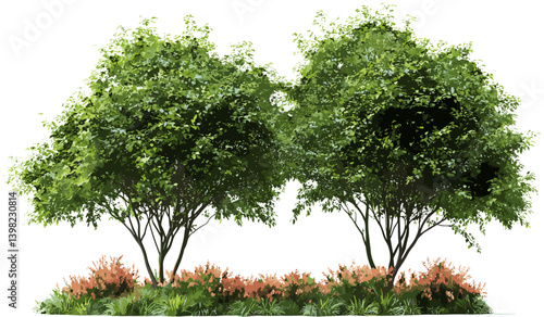 Vector tropics shrubs tree flowery shapes, cut out transparent backgrounds, tropical plants, exotic flora, tropical greenery, vibrant botanical silhouettes, nature design elements